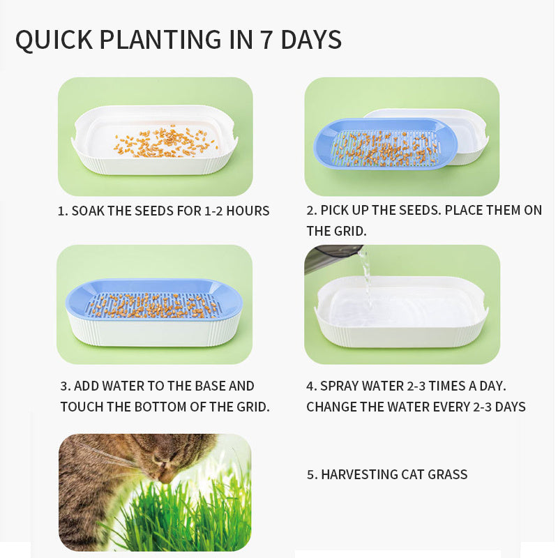 Hydroponic Cat Grass Planter