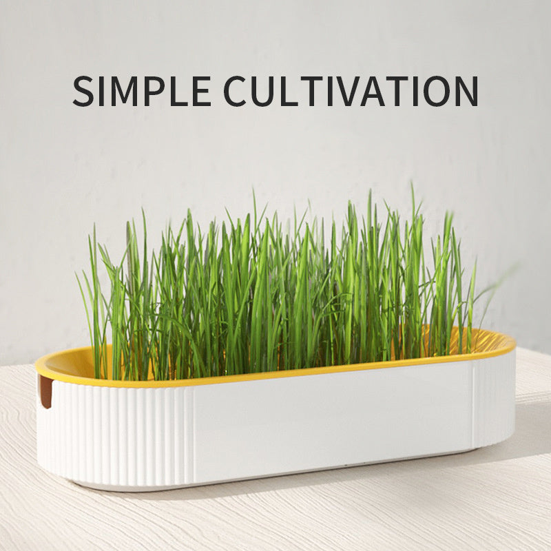 Hydroponic Cat Grass Planter