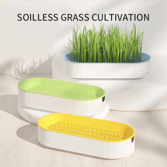 Hydroponic Cat Grass Planter